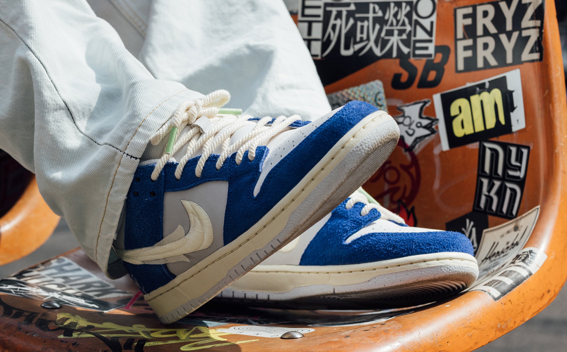 Nike fashion sb x fly