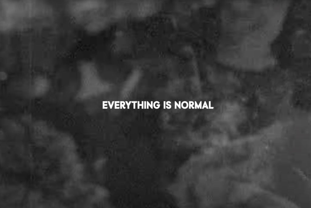 Polar Skate Co - Everything Is Normal