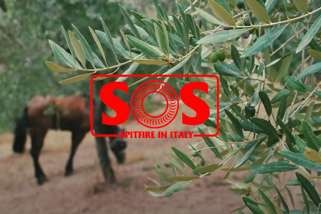 S.O.S - Spitfire Wheels x Samurai in Italy