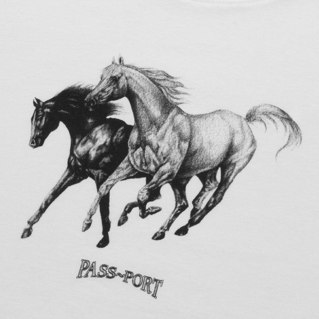 PASS~PORT Brumbies T Shirt - White