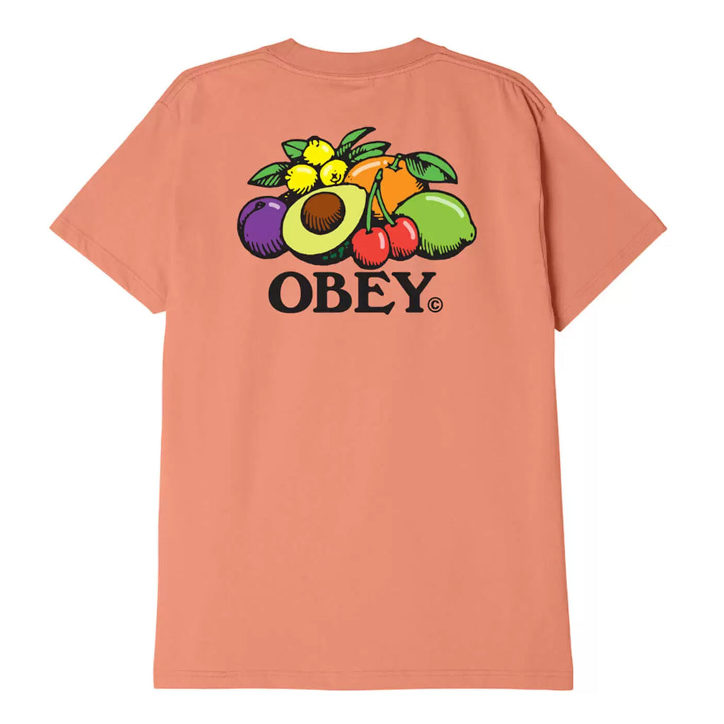 Obey Clothing Bowl of Fruit T Shirt - Citrus - back